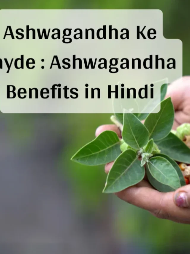 Ashwagandha Benefits in Hindi